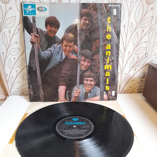 The animals - the,