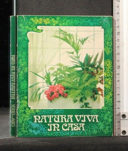 Natura viva casa - natura,