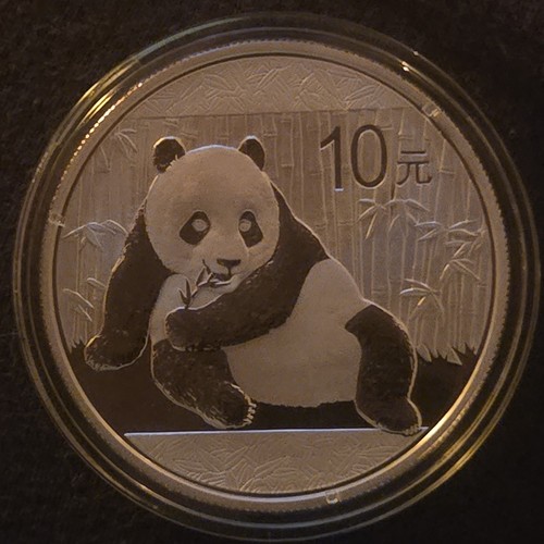 2015 cina silver - 10, yuan