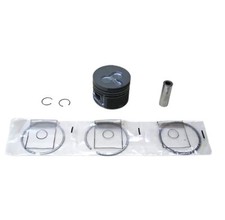 PISTONE COMPLETO STANDARD