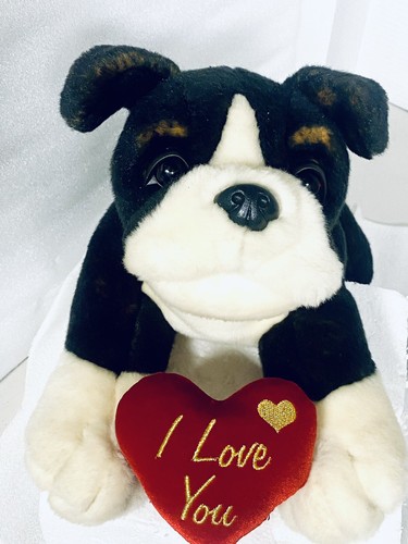 Chiglia giocattoli peluche - giocattoli, san