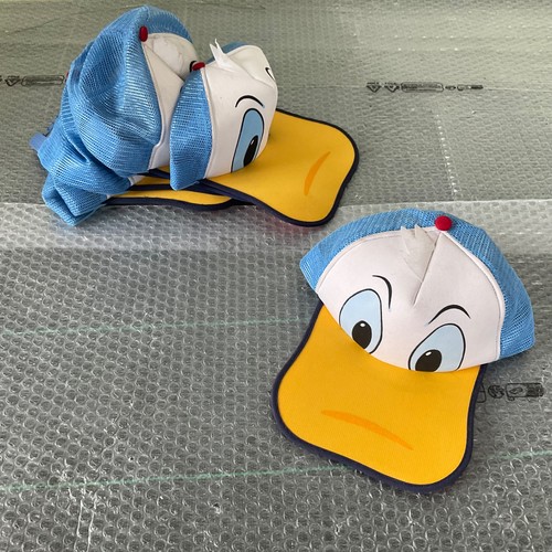 Vintage 80s disneyland - vintage,
