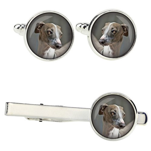 Levriero italiano set - , di