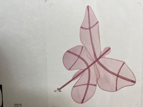 Nuovo snöfink letto - nuovo,