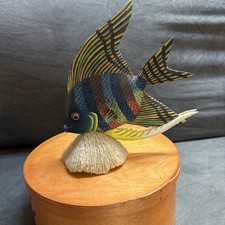 Pesce scalare arcobaleno