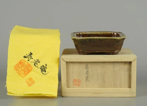 Vaso per bonsai giapponese