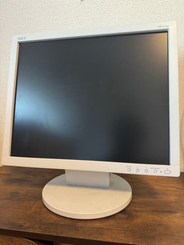 Monitor lcd bianco nec as173m - monitor,