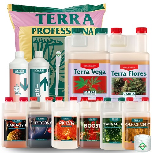 Canna terra suolo - canna,