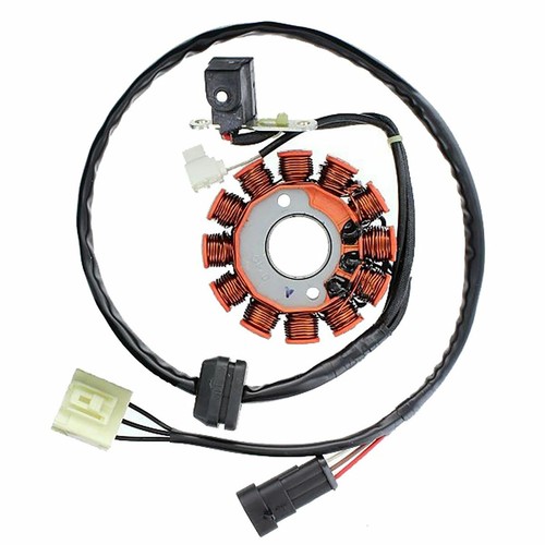 Electrosport statore malaguti - electrosport,