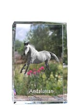 Andaluso - Cristallo Con