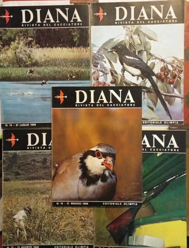 Diana rivista del - , cacciatore