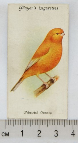 1933 john player - john,