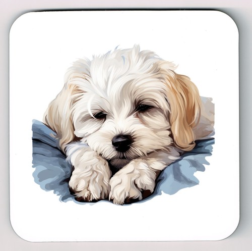 Sottobicchiere per cani - sottobicchiere,