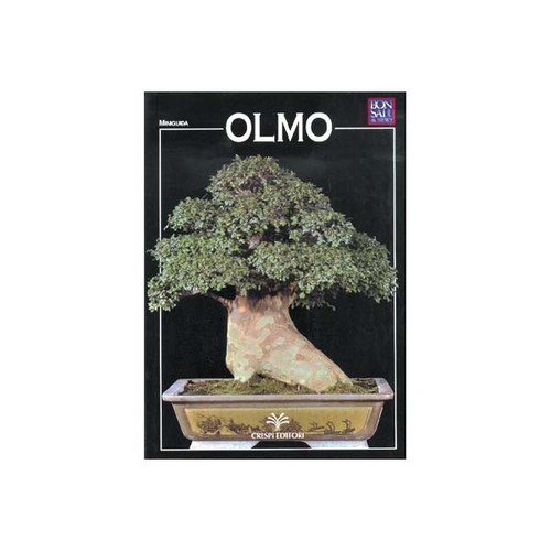 Manuale bonsai guida olmo - bonsai,