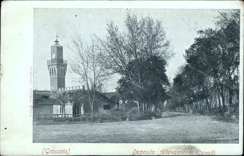Cs281 cartolina grosseto - cs281,