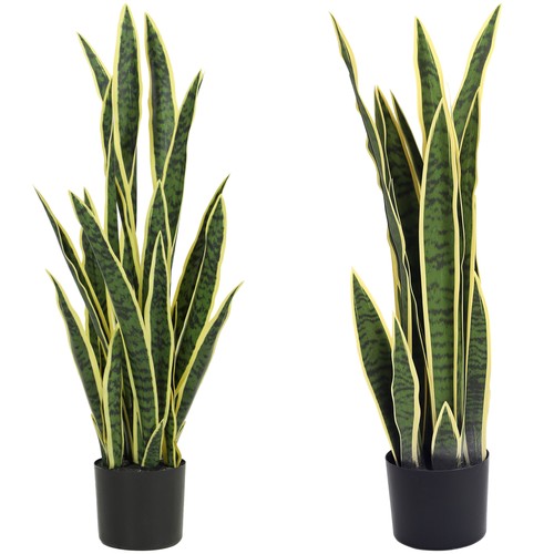 Outsunny sanseveria - outsunny,