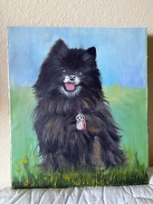 Quadro cane pomerania nero