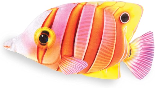 Real planet farfalla pesce - real,