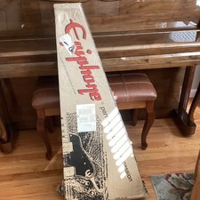 Epiphone Casino Acoustic