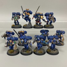 12 Convertito Vanguard