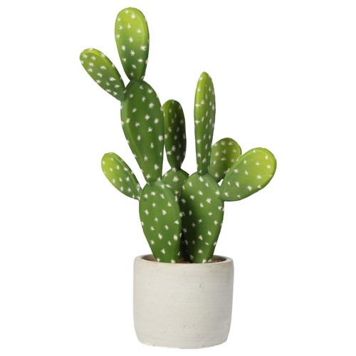 Oairse piante cactus finte - oairse, di