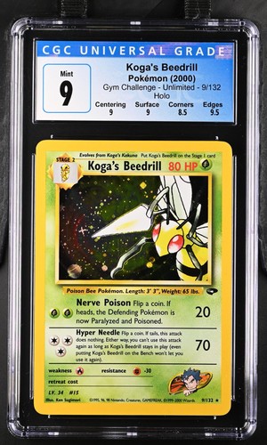 Pokemon koga beedrill - pokemon, koga's