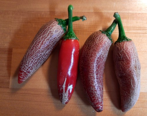 Jalapeno farmers market - 🔥,