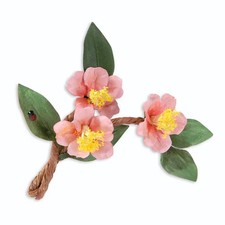 Fustelle Big Shot Sizzix