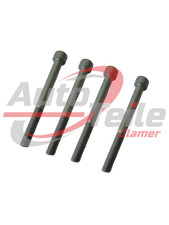 Viti di espansione (4x)