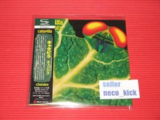 11B CATAPILLA Changes 2024