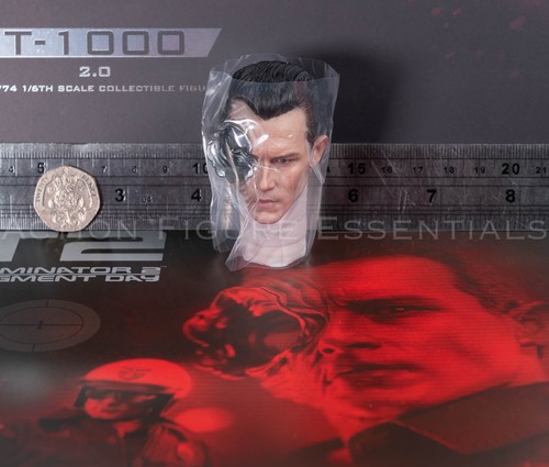 Hot toys 1000 head - hot,