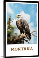 Poster da viaggio Montana Bald