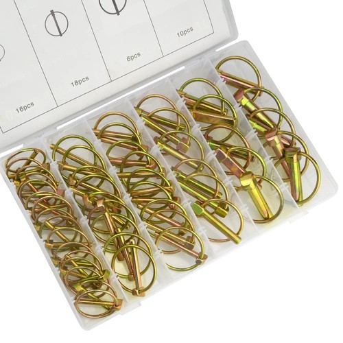 Assortimento spine spina a - 50,