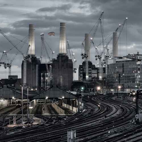 Pink floyd animals 2018 - pink,