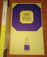 Comisso Giovanni, Un gatto