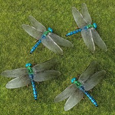 4 pezzi libellula blu volante