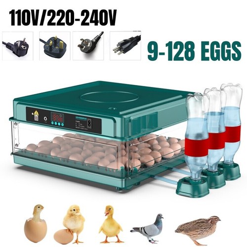 Incubatrice automatica per