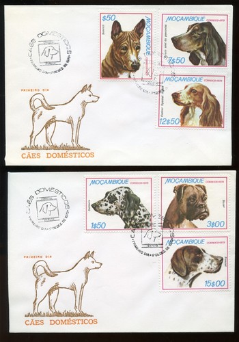 Basenji pointer boxer - basenji,