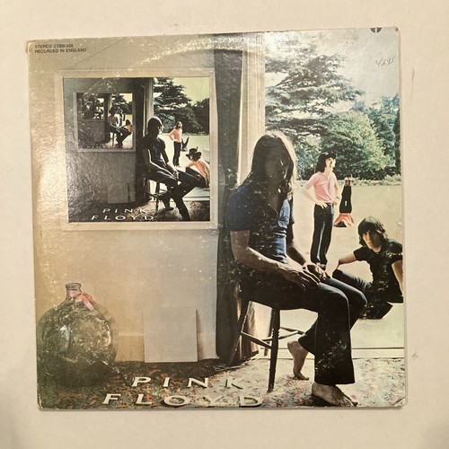 Pink floyd ummagumma - pink,