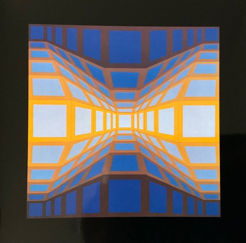 Victor vasarely warhol haring - vasarely,