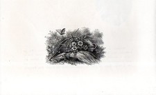 Antique Print GRAIN BASKET HOE