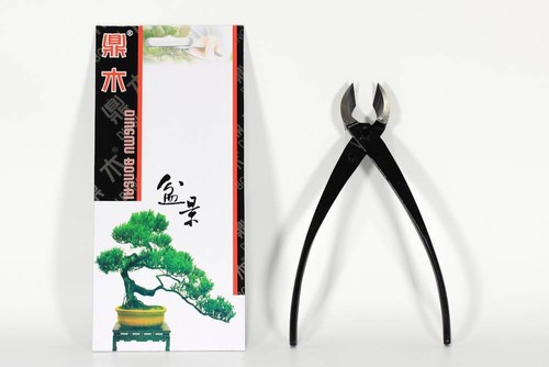Tronchese bonsai taglio