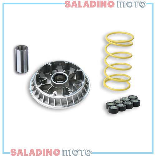 Variatore malossi multivar - malossi,