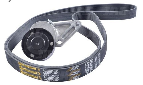 Rullo tendicinghia con - , cinghia
