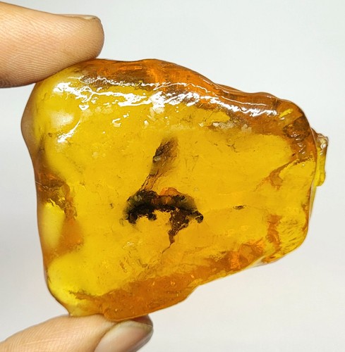 Ambra baltica naturale miele - ambra,