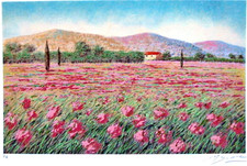 Mario Soave Serigrafia d'autore con certificato firmata dall'autore 35 x 50.