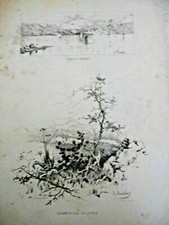 Ischia - Stampa del Pittore R. Mainella Vedute di Lacco Ameno e Casamicciola