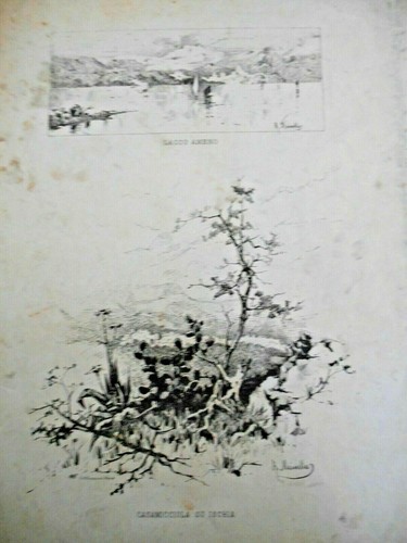 Ischia stampa del pittore r - stampa,