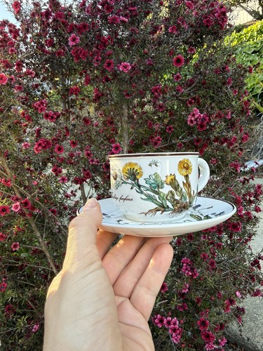 Set new villeroy boch - 4, &