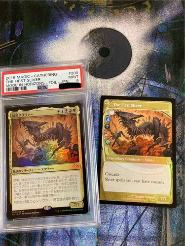 The first sliver - the, psa